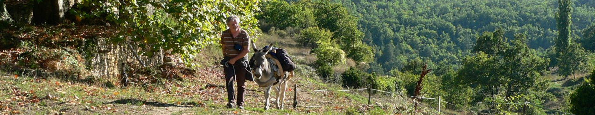 Randonnées dans la colline provençale