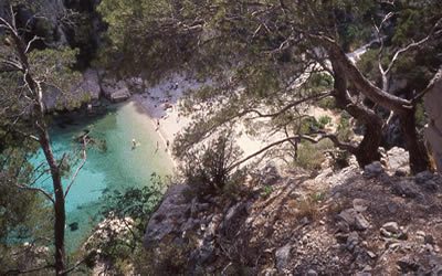 Randonnées dans les Calanques