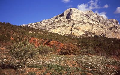 Randonnées sur La Sainte Victoire